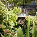 Regent's Garden - Astotel
