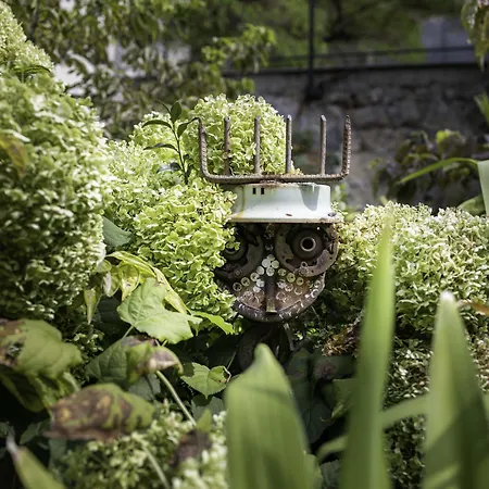 Regent's Garden - Astotel